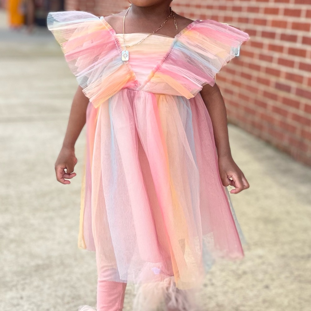 H&M Pleated Tulle Dress